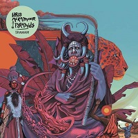 Cover-Ackamoor-Shaman-small.jpg (200x200px)