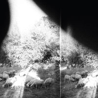 Cover-GYBE-Asunder.jpg (200x200px)